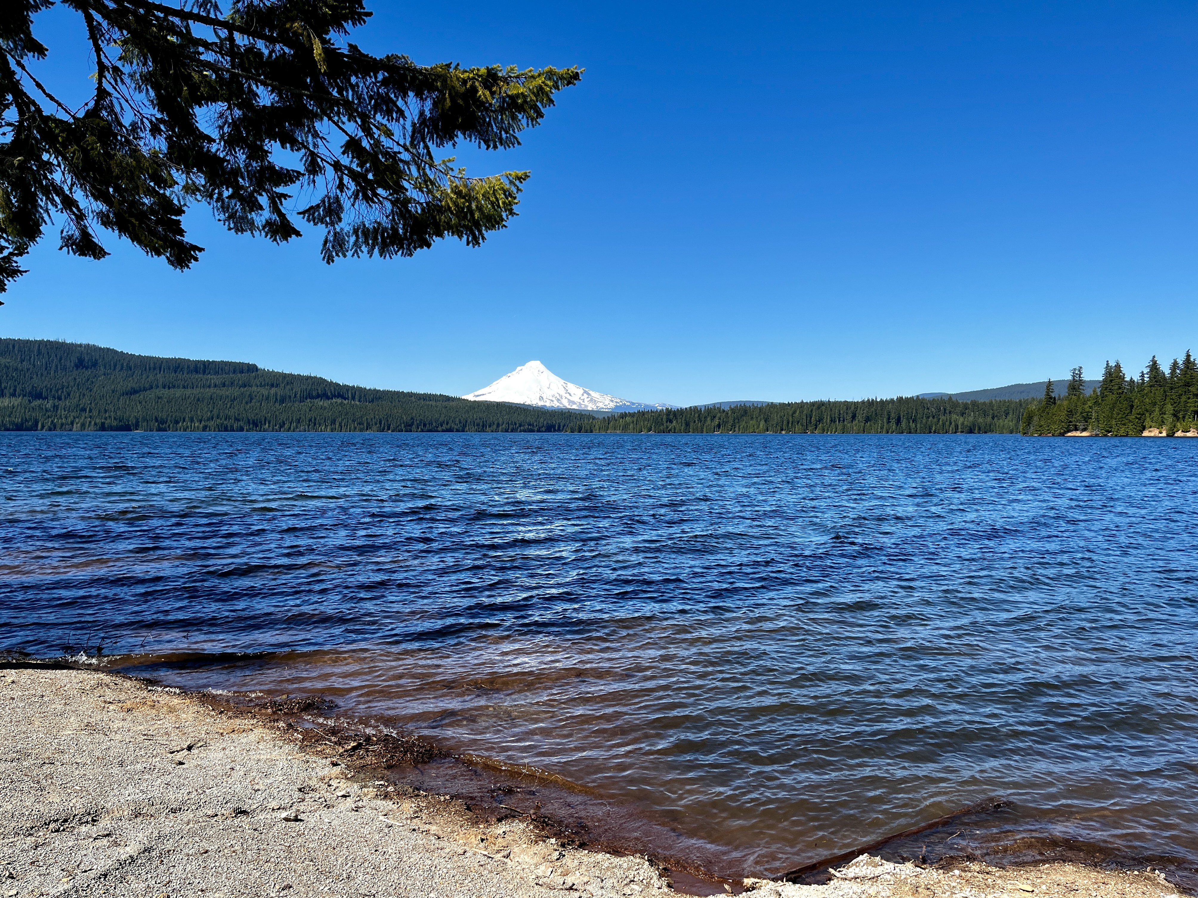 Timothy Lake - Mt. Hood