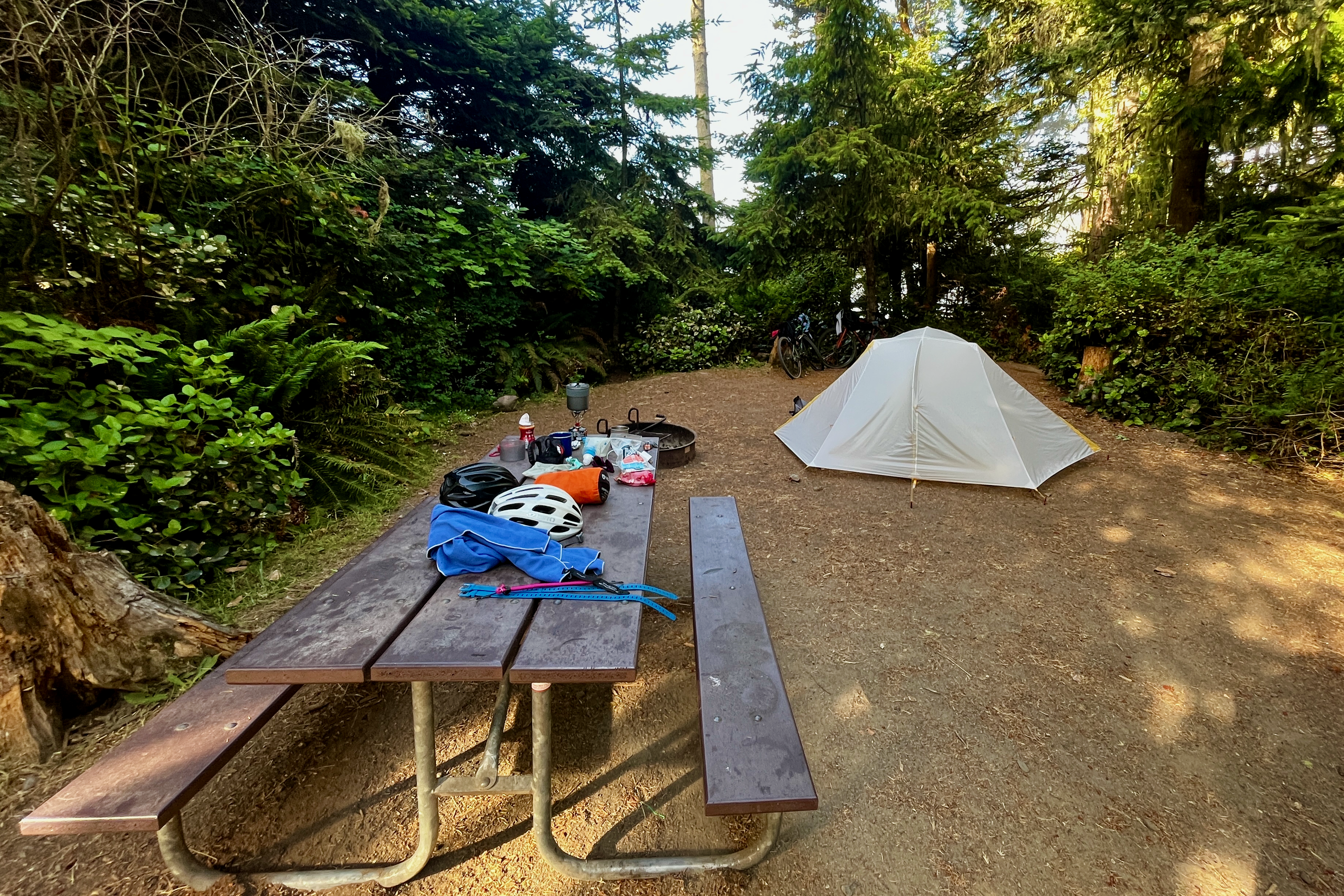 Salt Creek Site