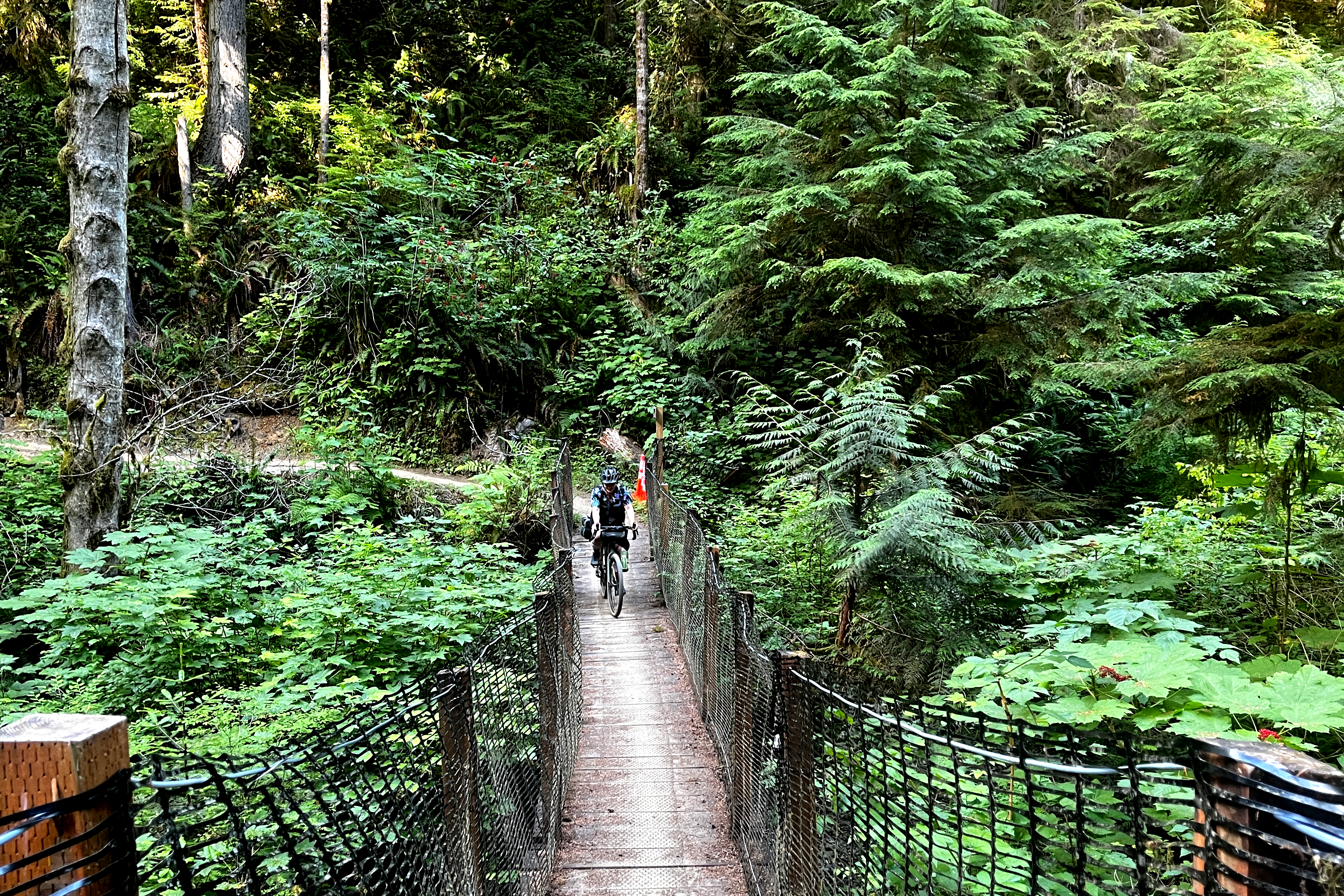 Cool Wooden Bridge