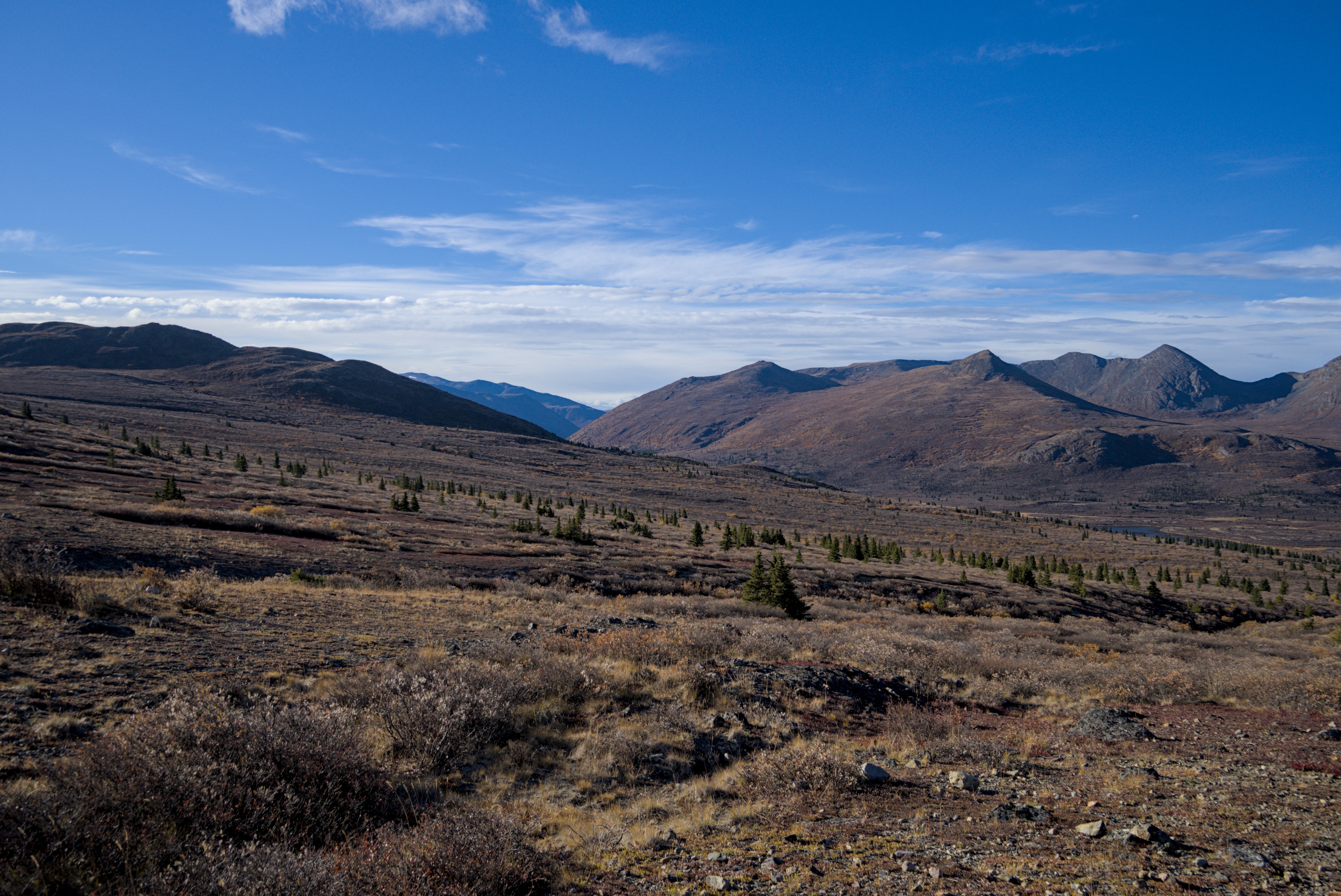 Fish Lake Trail - Looking slight south from the ridge